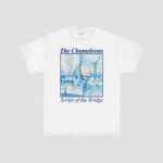 THE CHAMELEONS - SCRIPT OF THE BRIDGE