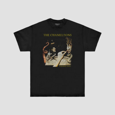 THE CHAMELEONS - STRANGE TIMES
