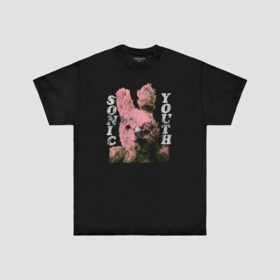 SONIC YOUTH - DIRTY BUNNY