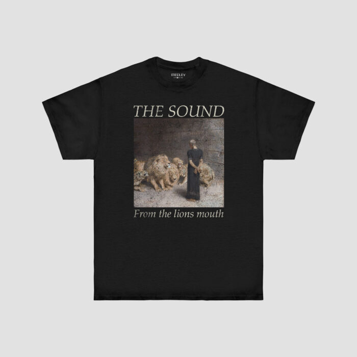 THE SOUND - FROM THE LIONS MOUTH