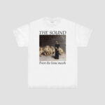 THE SOUND - FROM THE LIONS MOUTH