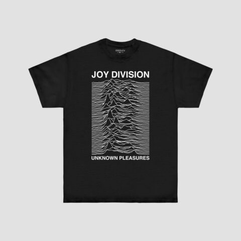 JOY DIVISION - UNKNOWN PLEASURES