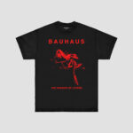 BAUHAUS - THE PASSION OF LOVERS