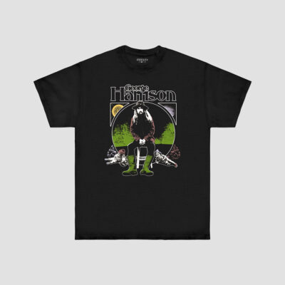 GEORGE HARRISON - ALL THINGS MUST PASS II